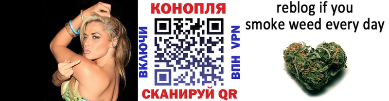 Бошки Шишки Amnesia  Купить закладки  Кировград 